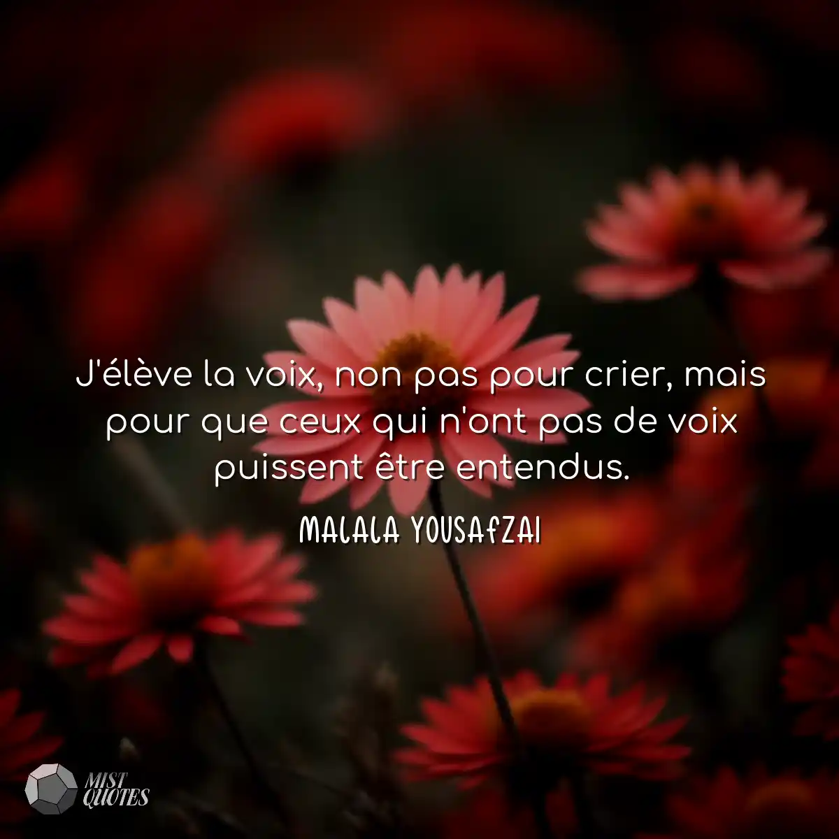 J'élève la voix, non pas pour crier, m