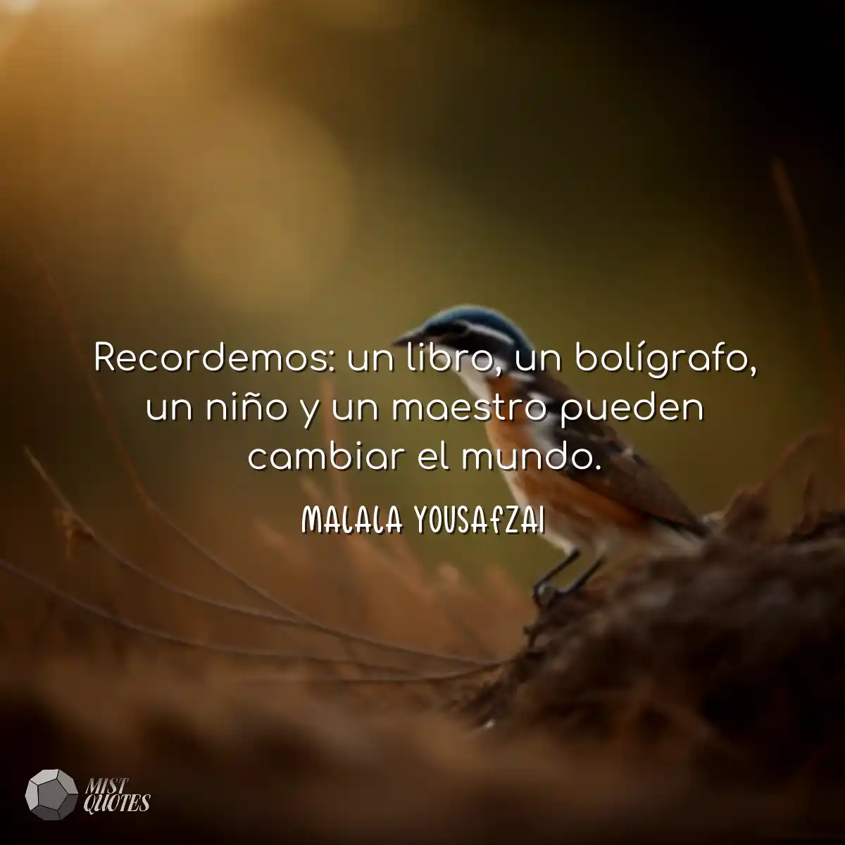 Recordemos: un libro, un bolígrafo, un 