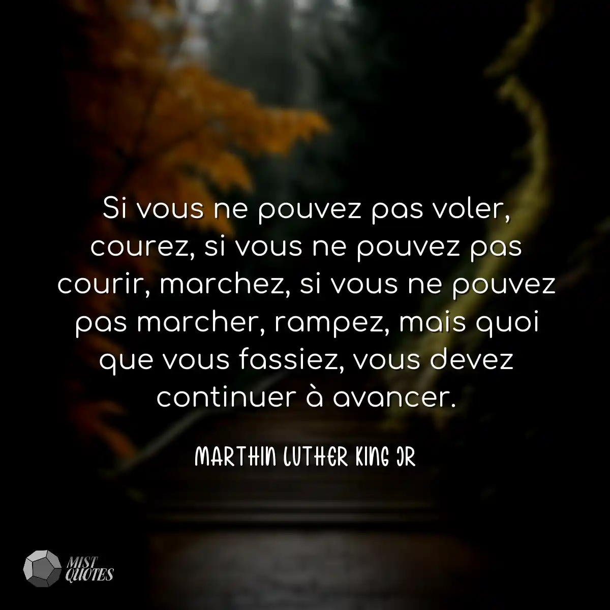 Si vous ne pouvez pas voler, courez, si 