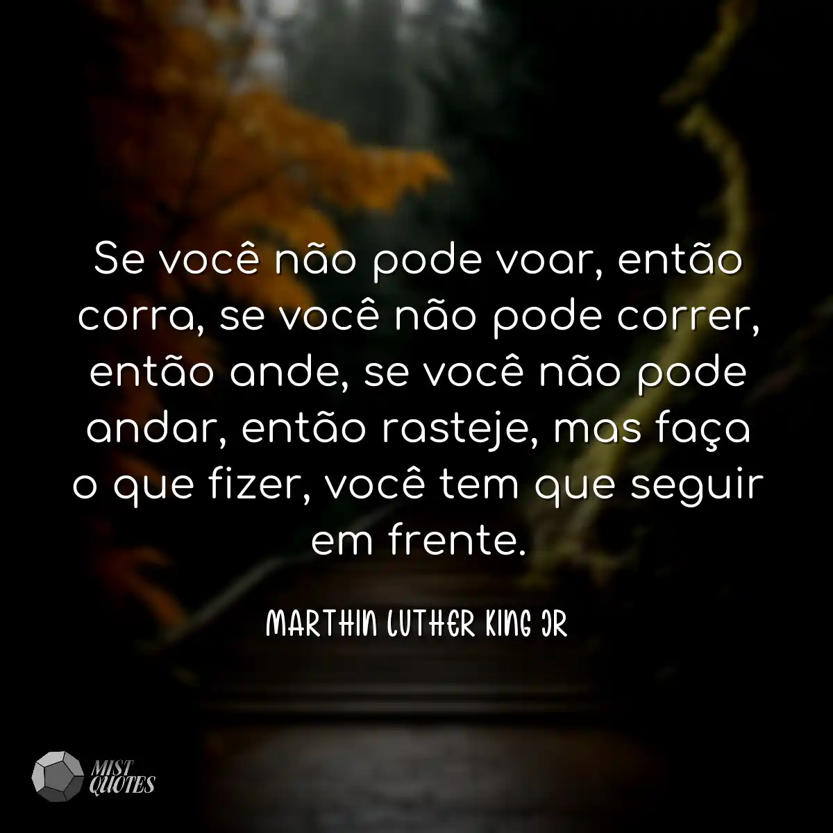 Se você não pode voar, então corra, s