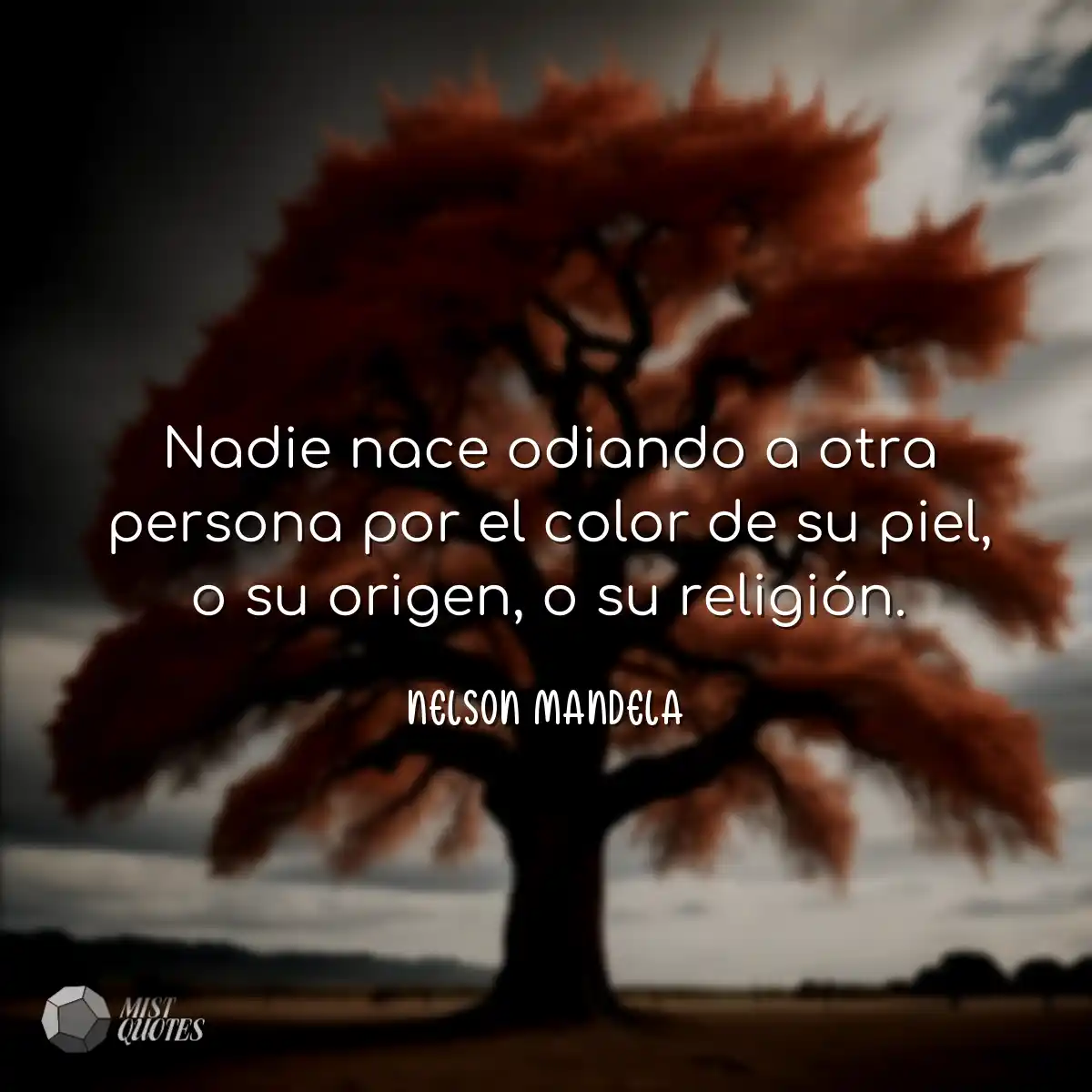 Nadie nace odiando a otra persona por el color de 