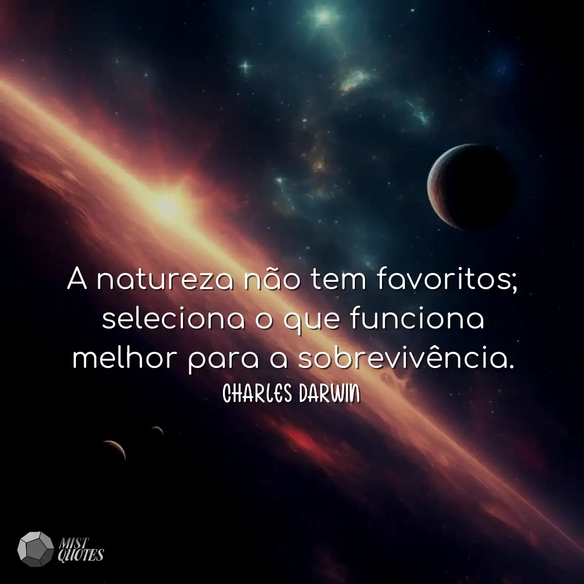 A natureza não tem favoritos; seleciona