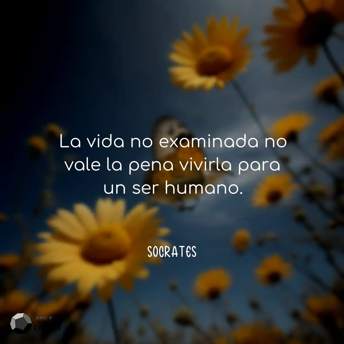 La vida no examinada no vale la pena vivirla para 