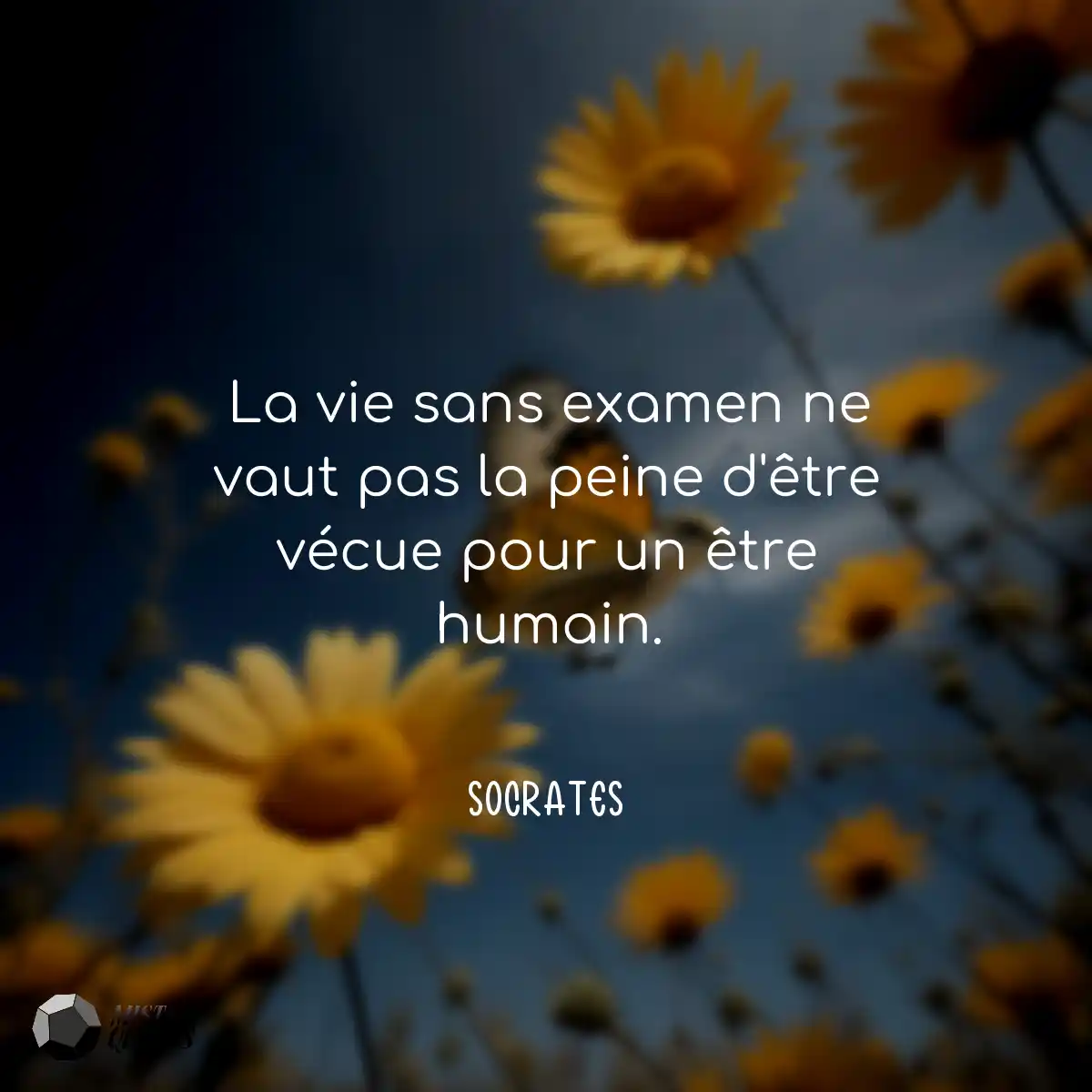 La vie sans examen ne vaut pas la peine d'être véc