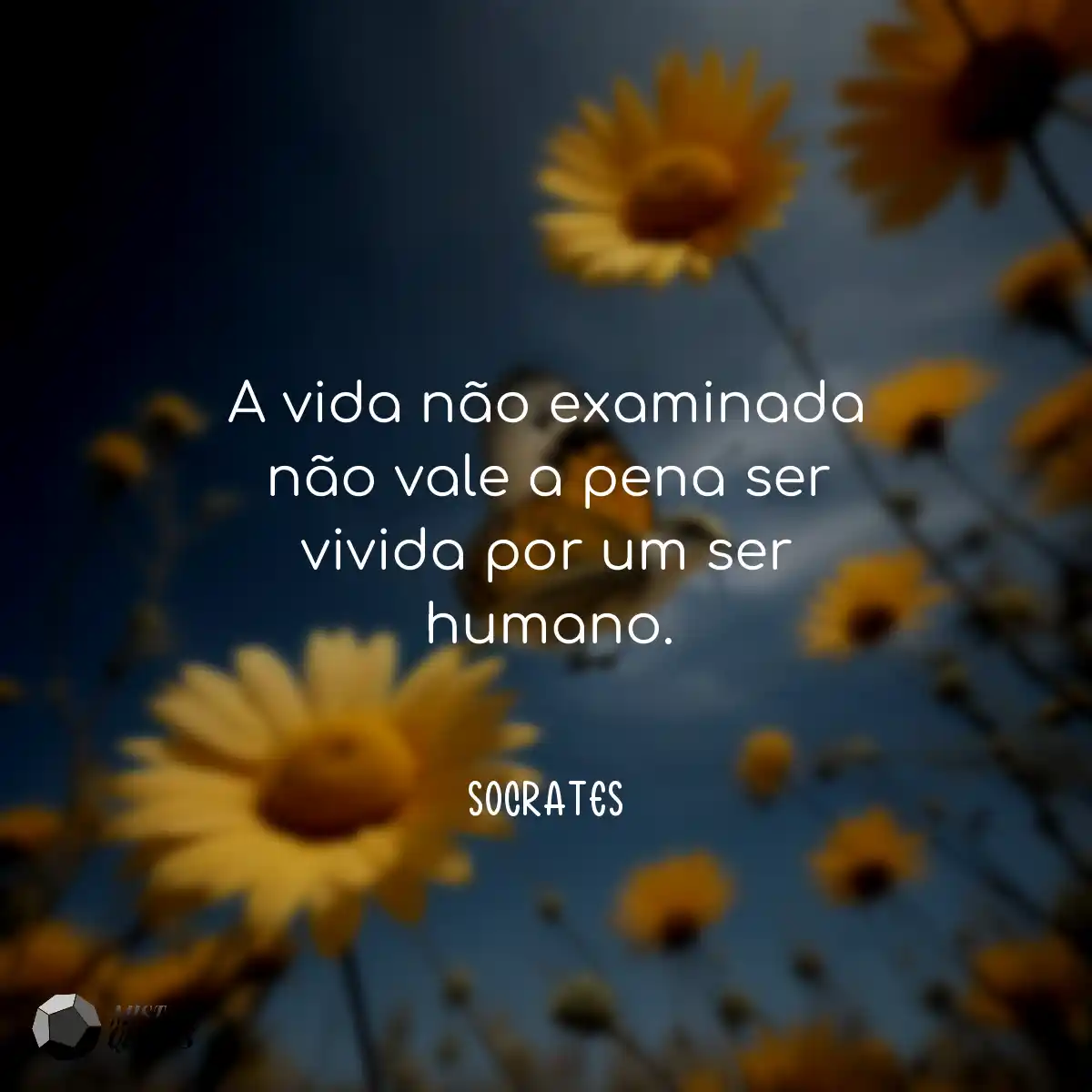 A vida não examinada não vale a pena s