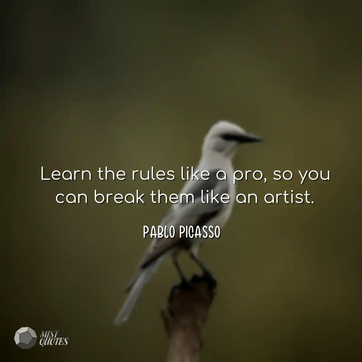 Learn the rules like a pro, so you can break them 