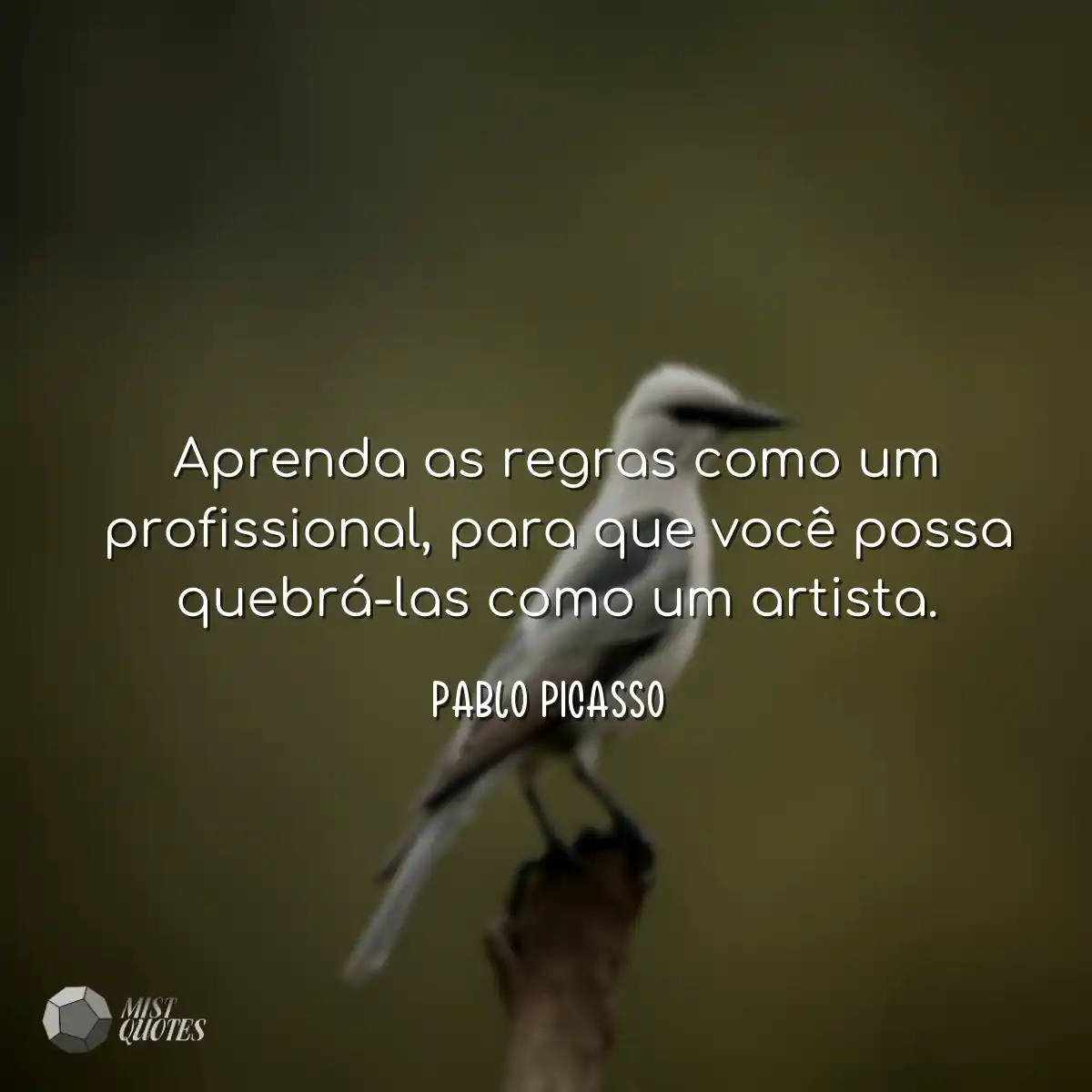 Aprenda as regras como um profissional, 