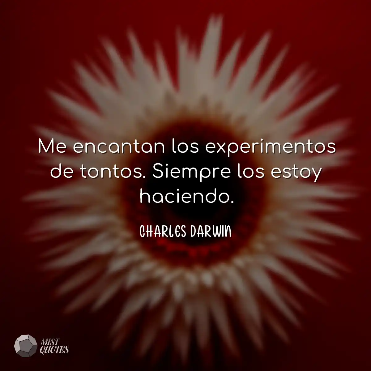 Me encantan los experimentos de tontos. Siempre lo