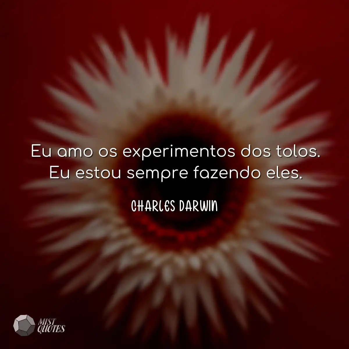 Eu amo os experimentos dos tolos. Eu estou sempre 