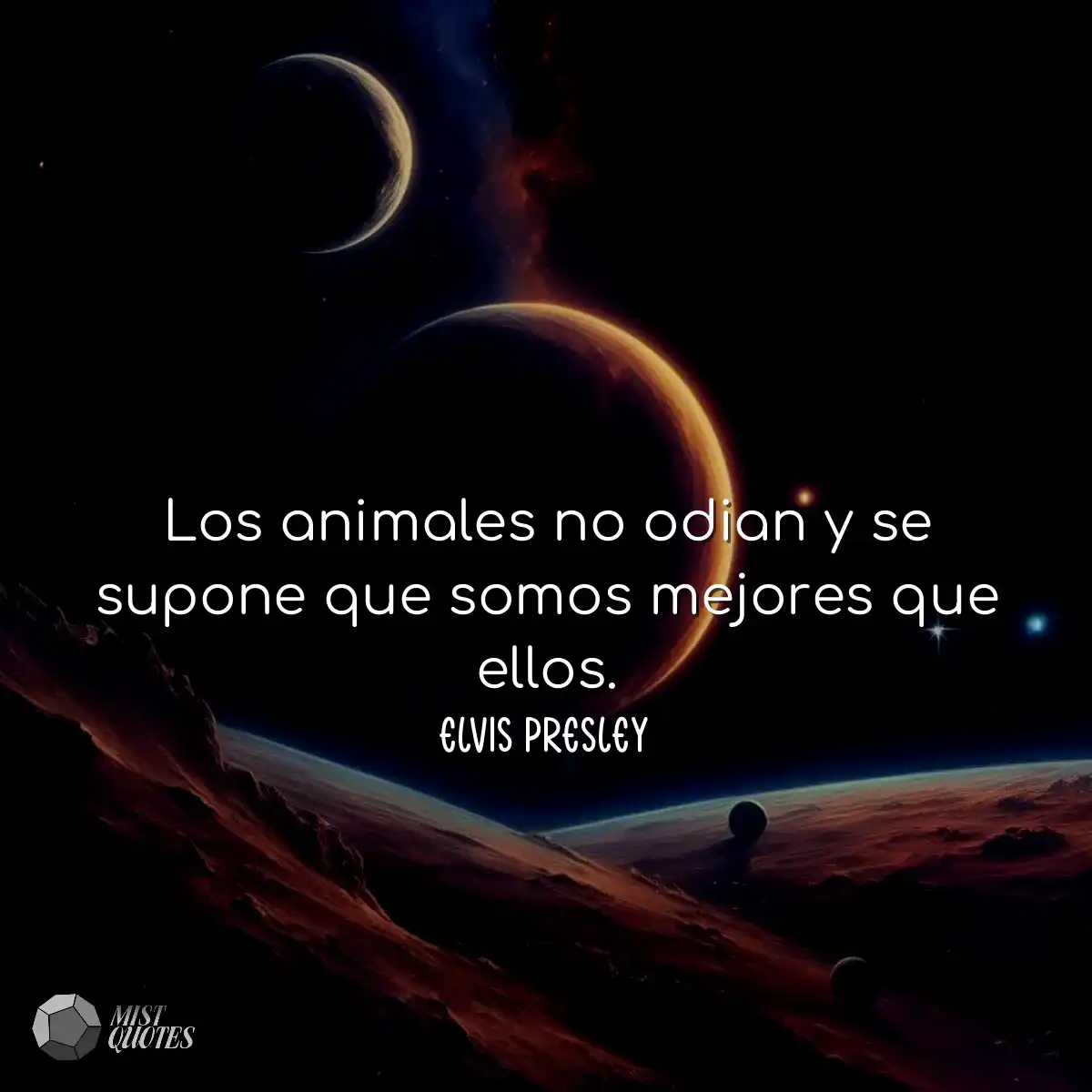 Los animales no odian y se supone que somos mejore