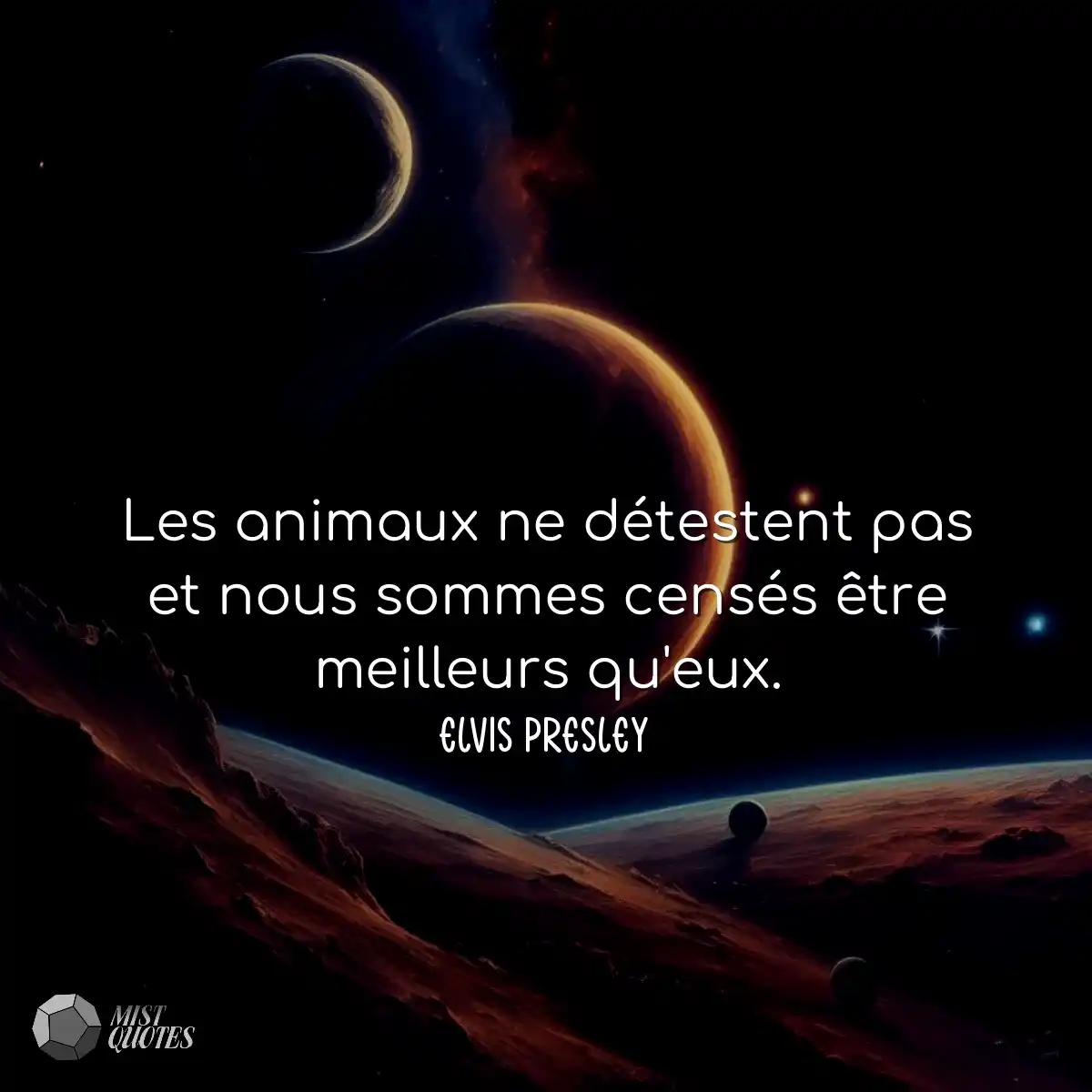 Les animaux ne détestent pas et nous sommes censés