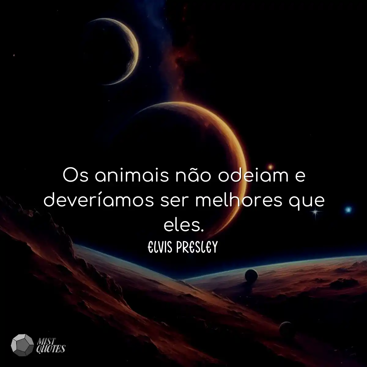 Os animais não odeiam e deveríamos ser melhores qu