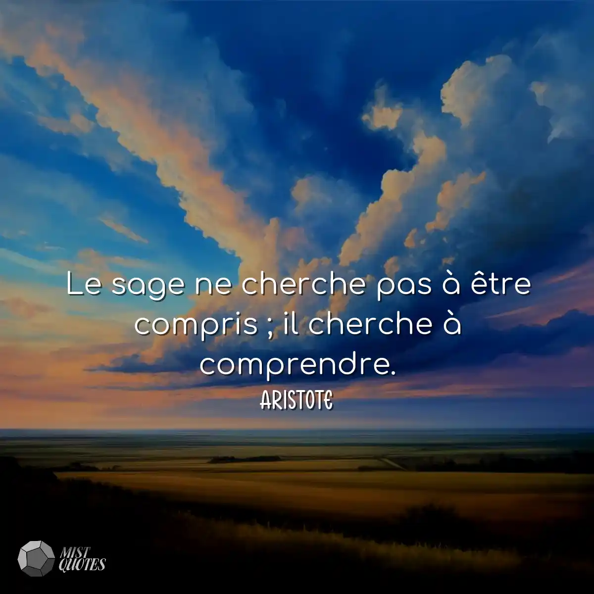 Le sage ne cherche pas à être compris ; il cherche