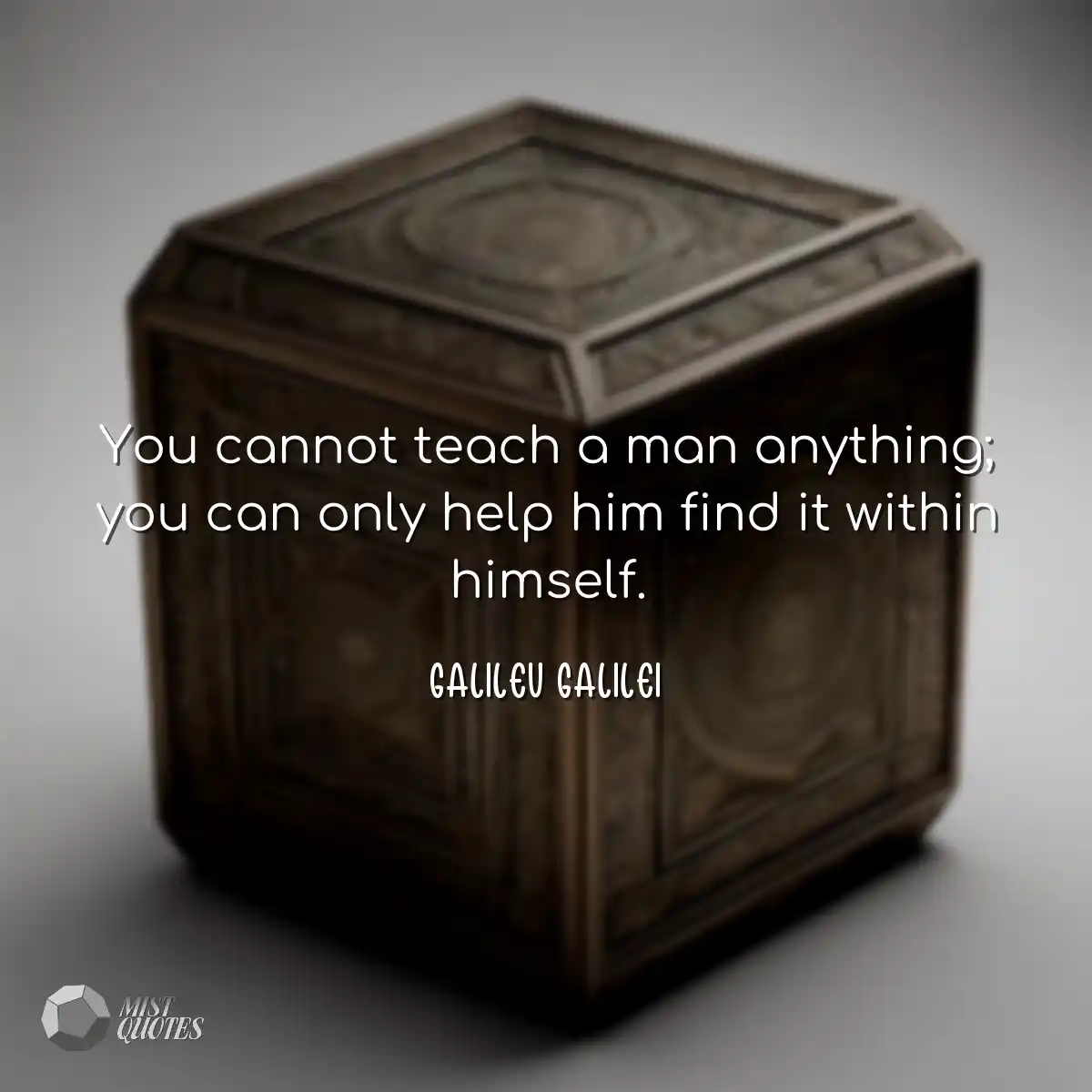 You cannot teach a man anything; you can