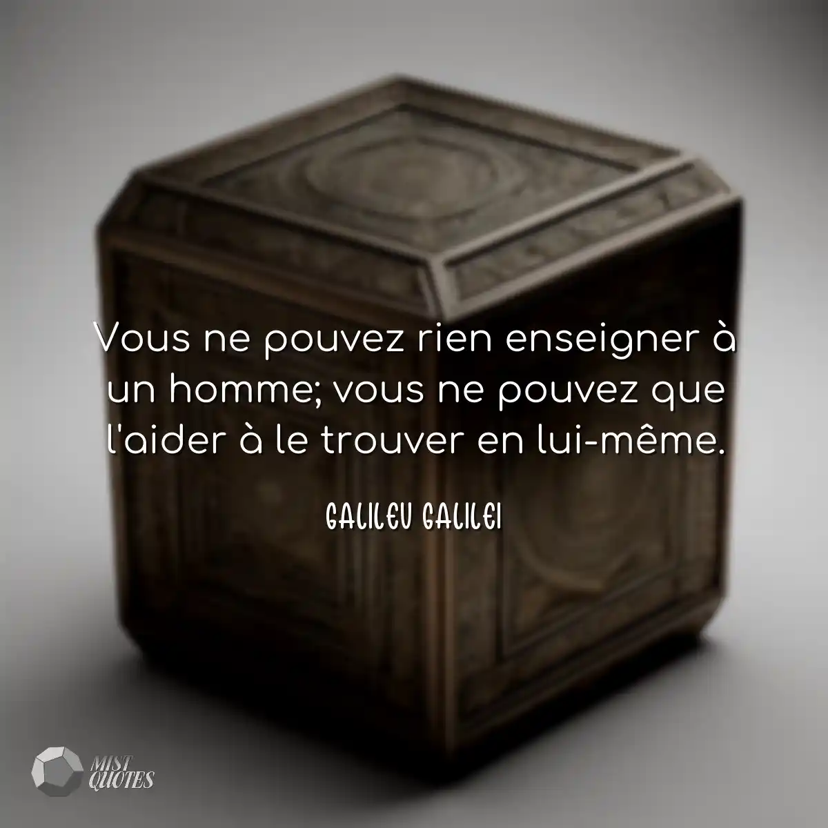 Vous ne pouvez rien enseigner à un homm