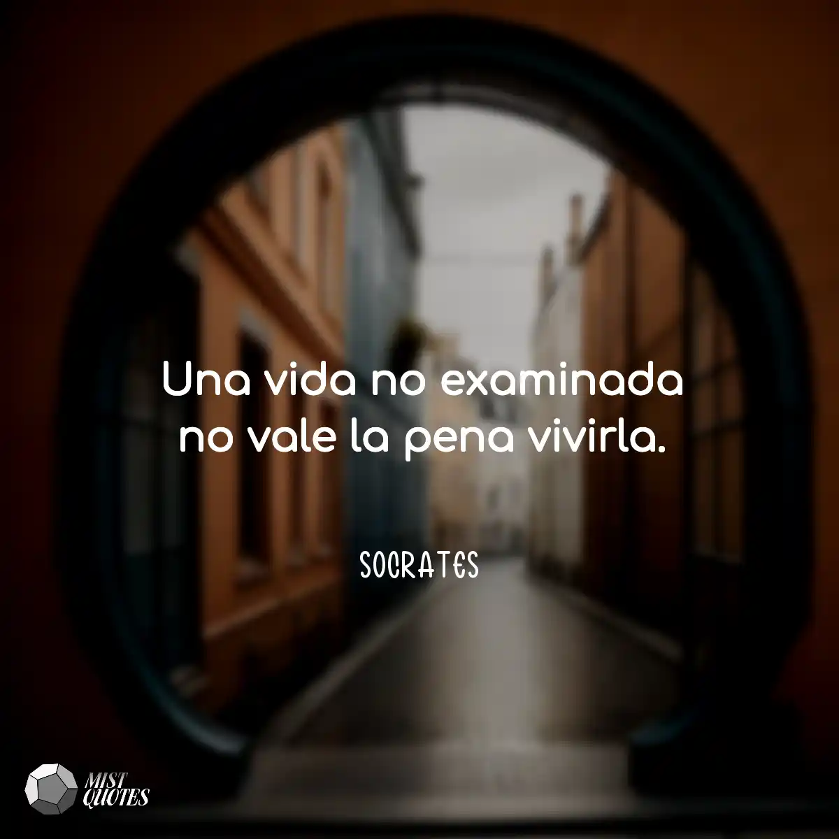 Una vida no examinada no vale la pena vivirla.