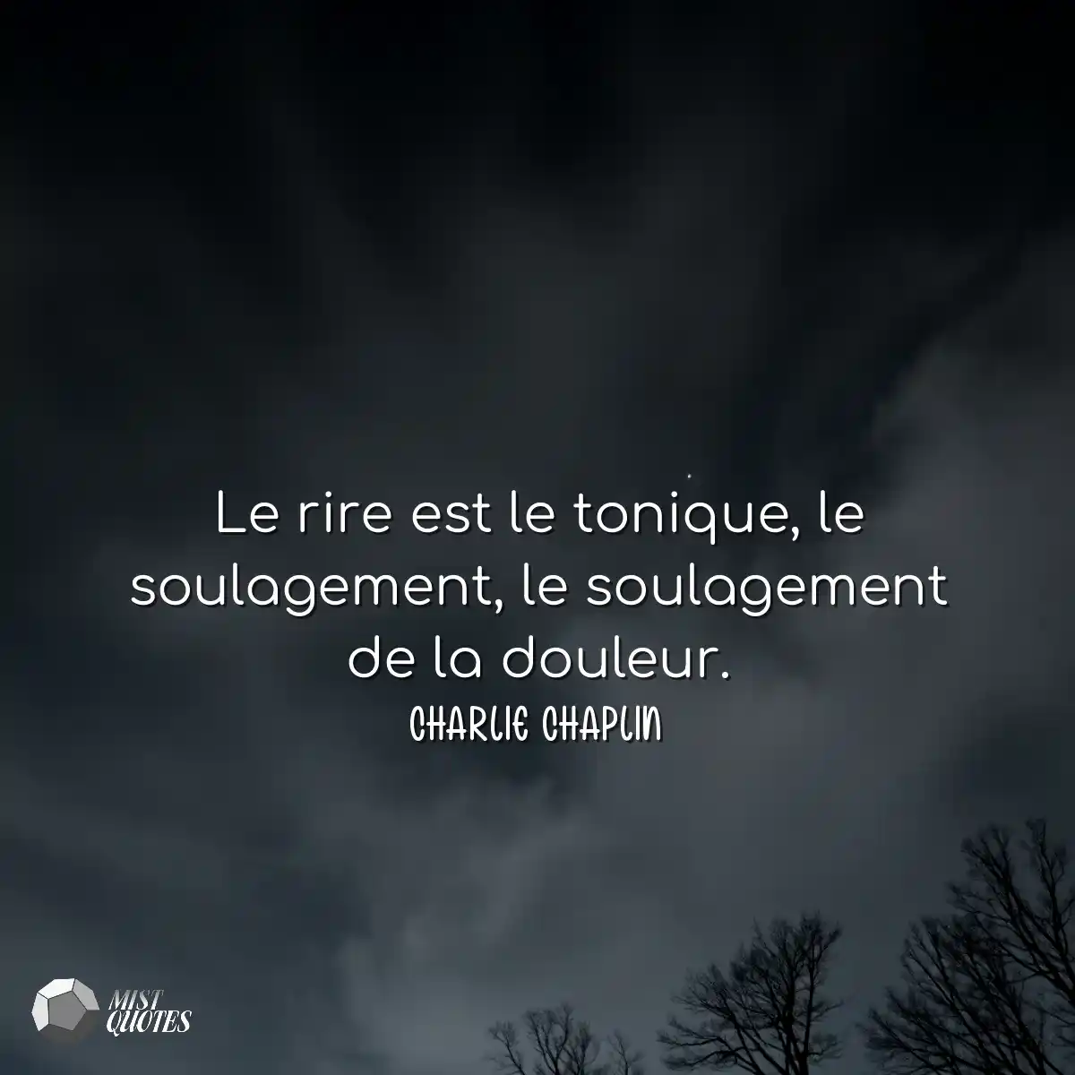 Le rire est le tonique, le soulagement, 