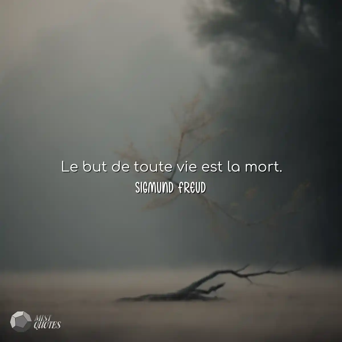 Le but de toute vie est la mort.